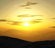 Bitmap Image