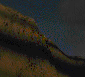 Bitmap Image